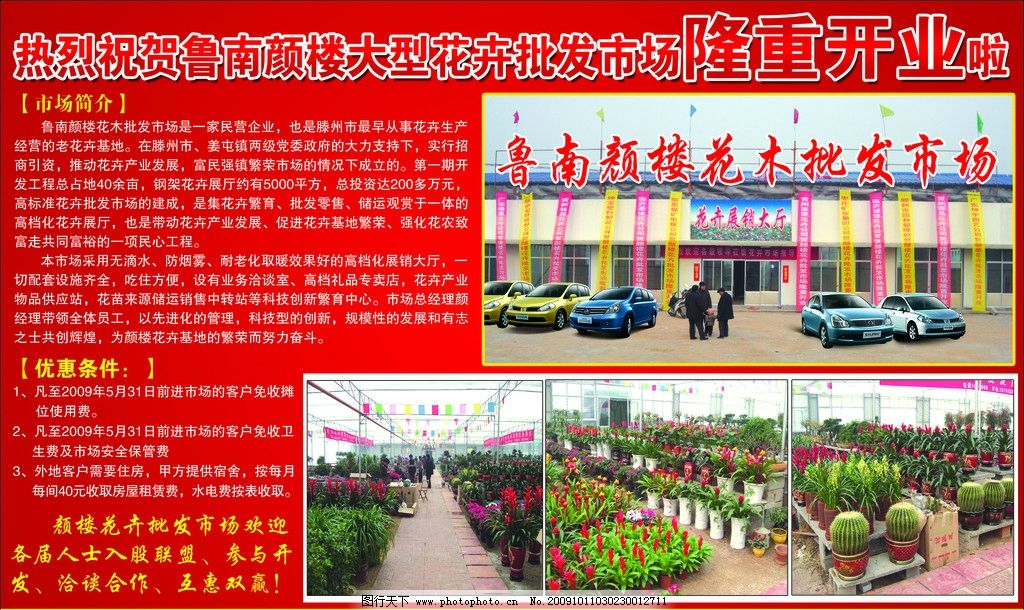 花卉 花卉