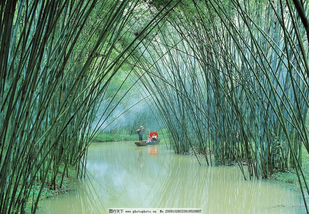 广宁县竹海图片,风景 广宁竹海 国内旅游 旅游摄