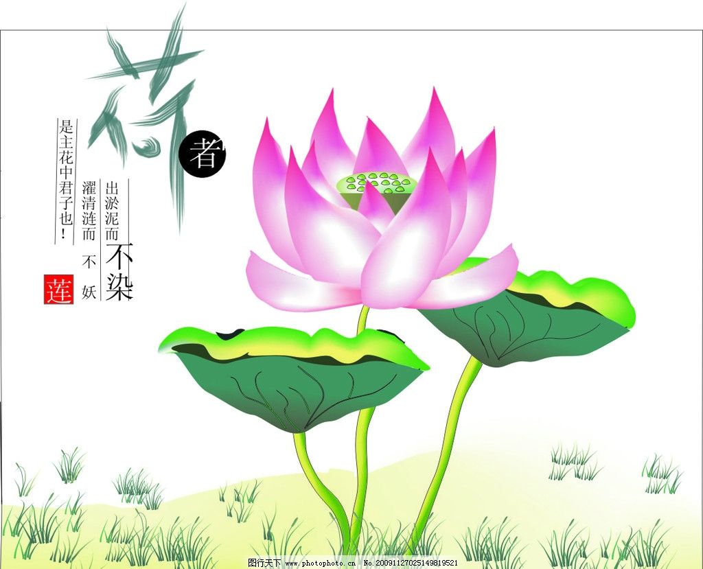 写荷花、荷叶的苏轼的诗-有关苏轼描写荷花荷