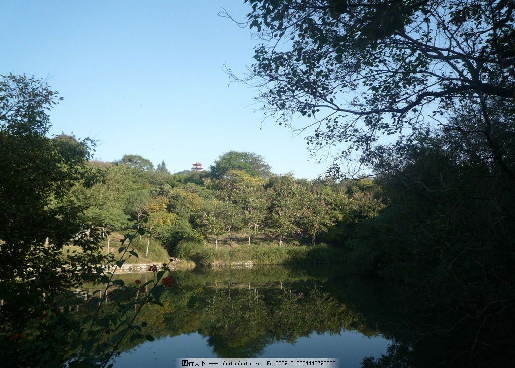 森林公园 山光水色 风景 大地 水波 倒影 树林 天空 山野风光 山水