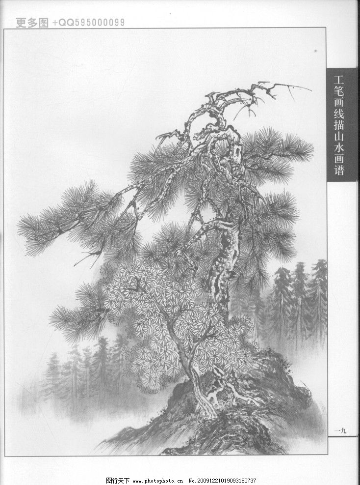 白描 黑白稿 手绘 线描山水 线描树 线描石 线描风景 画谱 绘画 工笔