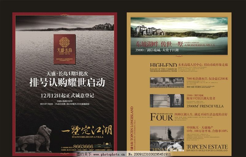 dm宣传单 dm 宣传单 海报 夹报 房地产 欧式 江湖 大气 别墅 湖面