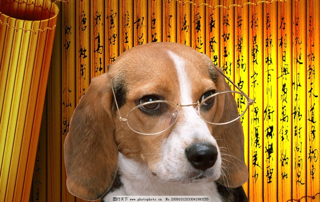 眼镜狗,动物,狗,宠物狗,竹简,PSD分层素材,源文件,200DPI,PSD