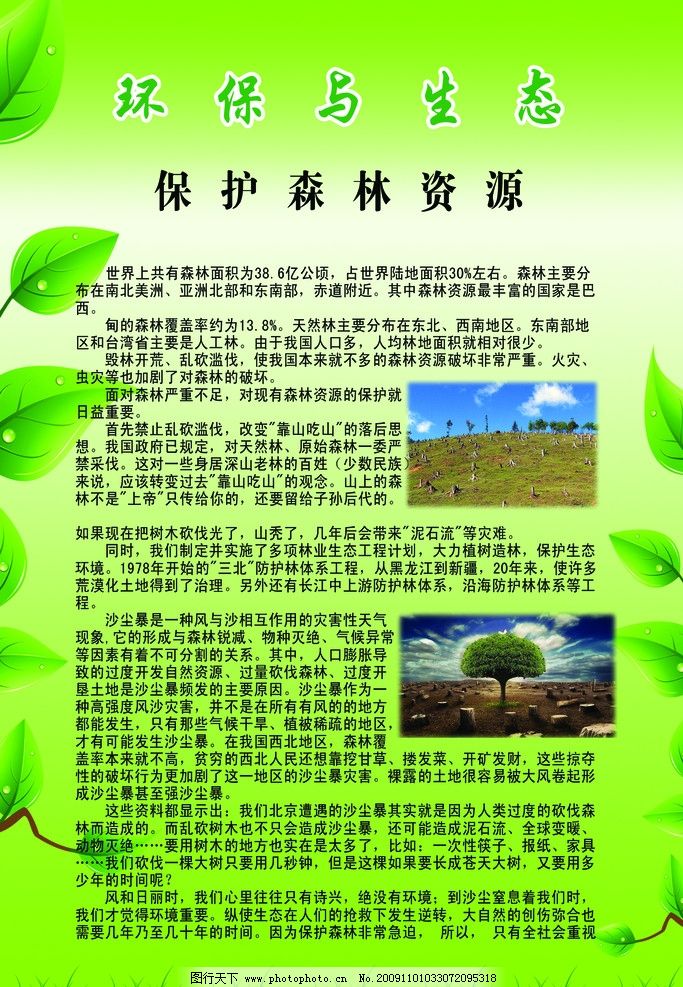 保護森林資源 環保與生態 樹樁 沙化土地 綠樹 森林對人類的好處 破壞