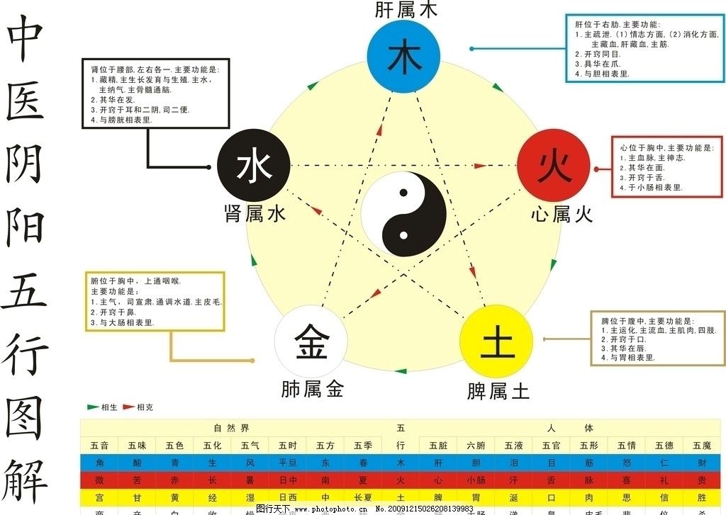 中医基础理论2阴阳五行