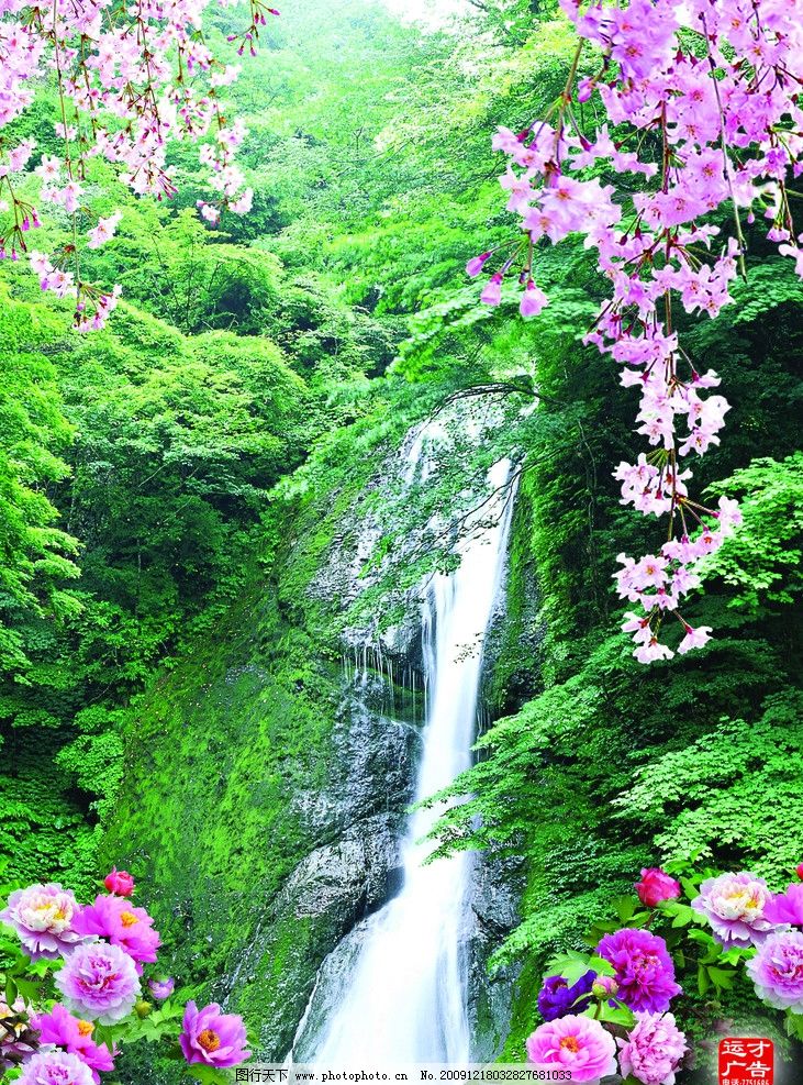 风景山水画牡丹花鲤鱼玉兰花荷花飞鸟湖泊小船拱桥风景美景